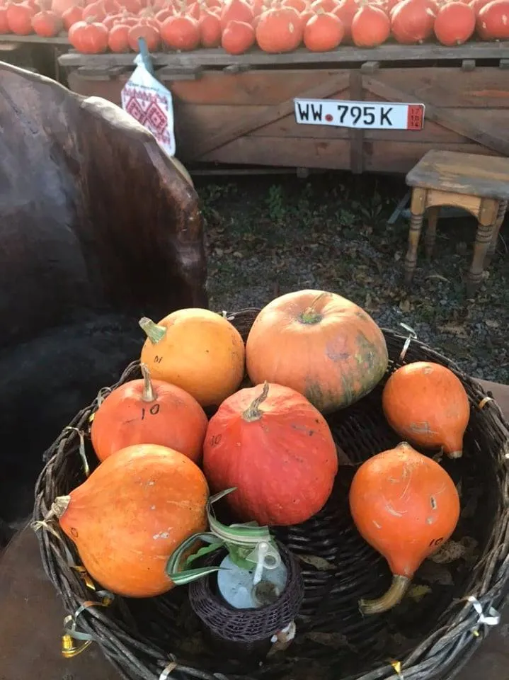 Фото Юлії Підлужної