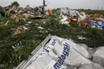 У Нідерландах оголосили підозри терористам "ДНР" причетним до катастрофи МН17 на Донбасі