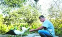 Бузьки відлетіли по-англійськи. Не попрощавшись...