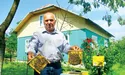 «Сприймаю бджіл як Божі створіння»