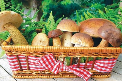 Мариновані гриби&nbsp;&mdash; гастрономічний шедевр