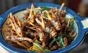 «Сушену сарану дехто смакує з пивом…»