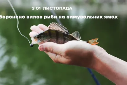 На Львівщині запровадили осінньо-зимову заборону на вилов риби