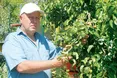 Залюбки працюють у саду та на городі
