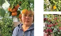 На обійсті - справжні «тропіки»