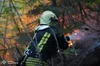 Масштабна пожежа на Закарпатті: вогонь охопив лісові масиви поблизу Воловця