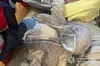 На Львівщині мати на добу покинула вдома самих восьмирічну дитину та немовля