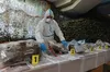 У 20 випадках цього року останки українців були змішані з тілами та рештками тіл російських солдатів: голова МВС про репатріацію