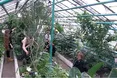 Школярі доглядають за екзотами