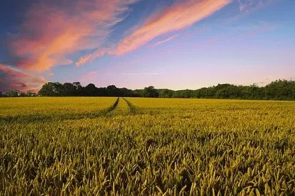 Фото: Еспресо Захід
