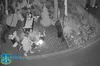 Погром могил військових вчинила невідома жінка