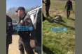 На Закарпатті ромська громада напала на представників ТЦК з палицями