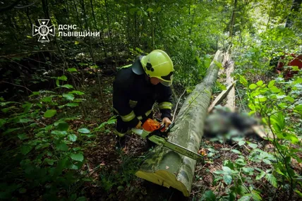 Фото: Головне управління ДСНС України у Львівській області