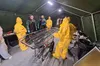 Захист від зброї масового ураження: військові медики ЗСУ пройшли навчання на випадок радіаційного чи хімічного нападу