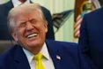 У США готують святкування 80-річчя Дональда Трампа з шоу UFC у Білому домі: подія викликала критику