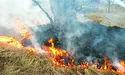 Хто береться сіяти-садити, а хто – палити…