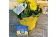 Оксані Баюл принесли під двері квіти – за підтримку України!