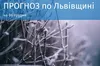 Погода на 6 грудня 2023 року у Львівській області