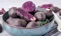 Фіолетова картопля захищає від старіння, покращує травлення