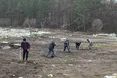 Дорослі посадили черешні, школярі - гіацинти