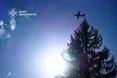 На Закарпатті повністю ліквідували масштабну пожежу в лісництві