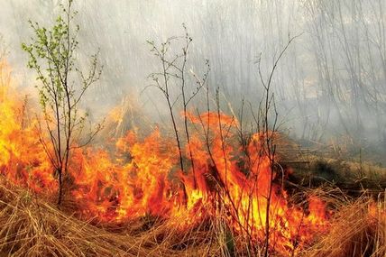 Спалювання трави&nbsp;&mdash; отрута для довкілля і здоров&rsquo;я