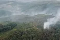 Майже двісті осіб залучили до ліквідації лісових пожеж на Закарпатті