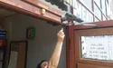 Тернопільські галки поза чергою прилітають по хачапурі