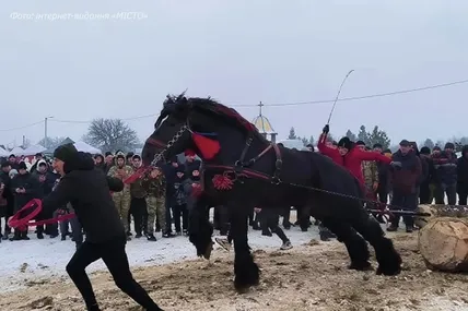Фото скрин uanimals, Instagram