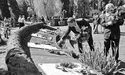 9 травня у Львові – найспокійніше за всю історію