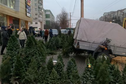Ялинкові композиції - 300&minus;1800 гривень, ялинки&nbsp;&mdash; від 500 гривень