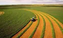 Де в Україні найдорожча сільськогосподарська земля?