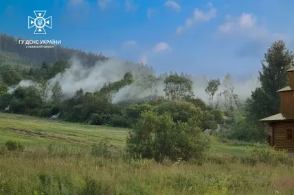 Сухостій. Фото: Головне управління ДСНС України у Львівській області