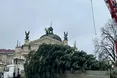 На Миколая відкриють головну ялинку міста Лева