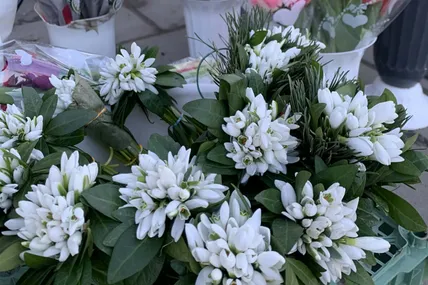 &laquo;Не боюся торгувати червонокнижними первоцвітами. Скільки їх маю&raquo;