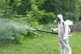 У Львові 22−23 вересня проведуть акарицидну обробку парків: мешканців просять утриматися від відвідувань
