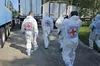 Для ідентифікації тіл загиблих українців, переданих росією, знадобиться понад рік