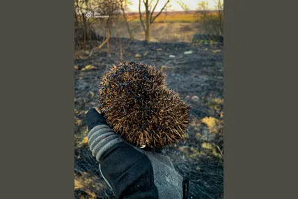 Фото: ДСНС Львівщини