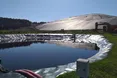 Як зараз виглядає Грибовицьке сміттєзвалище?