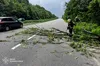 Негода накрила кілька областей України: рятувальники ліквідовували наслідки буревію