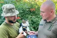 Після собаки Патрона медаль отримав фронтовий кіт Шайба