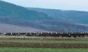 Лелеки офіційно оформили прихід весни
