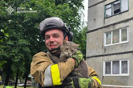 На Донеччині рятувальники визволили кота з-під завалів п’ятиповерхівки, зруйнованої обстрілом. Фото: ДСНС