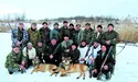 Вовки отаборилися біля Нового Роздолу