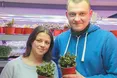 Мікрозелень забезпечує вітамінами