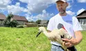 Світязь мандрує над Африкою