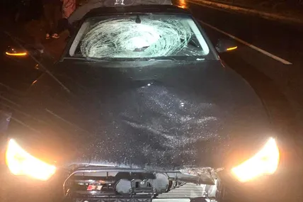Фото: Поліція Львівської області