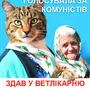Автор бабусі з котом готується до... президентських виборів