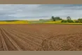 На Львівщині прокуратура повертає 300 гектарів землі, переданих в оренду без торгів