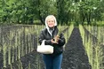 На бабусиному городі вирощує спаржу